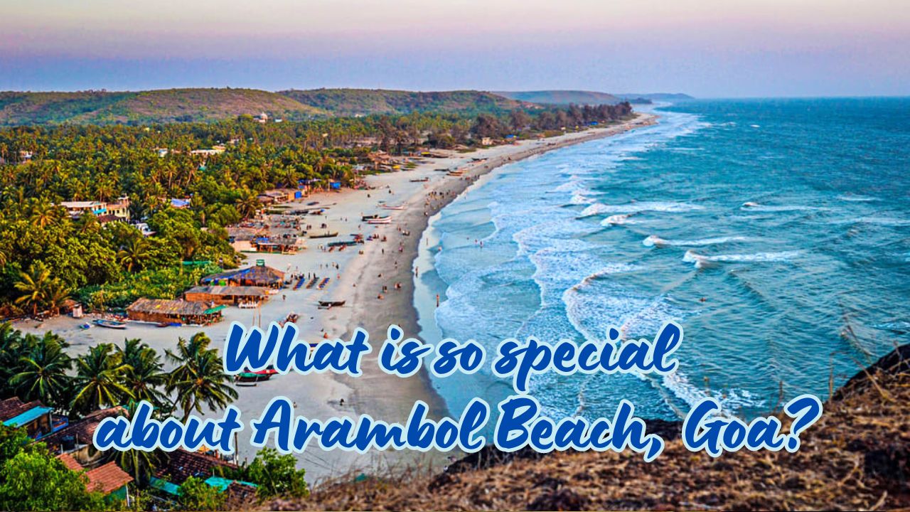 What is so special about Arambol Beach, Goa?